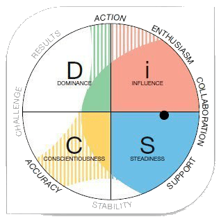workplace-graph_2extra_priorities discover everything disc profile stretch your mind disc partners