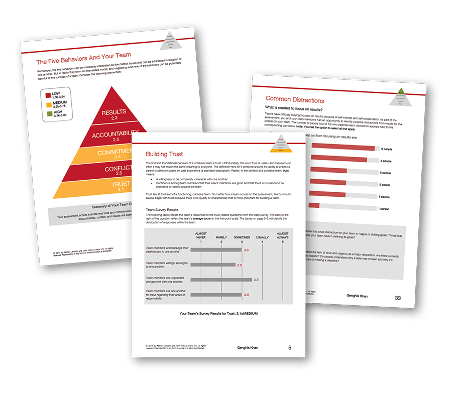 everything-disc-workplace-profile-report-sample