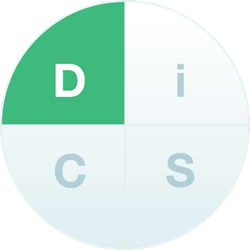 discover everything disc profile D style disc partners