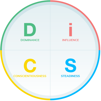 discover everything disc personality profile disc partner
