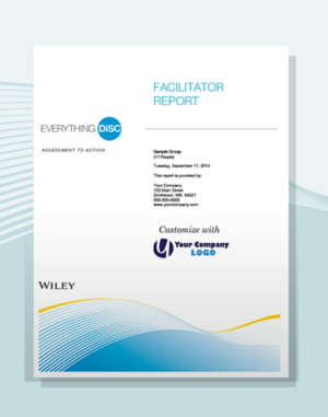 everything disc facilitator report disc partners