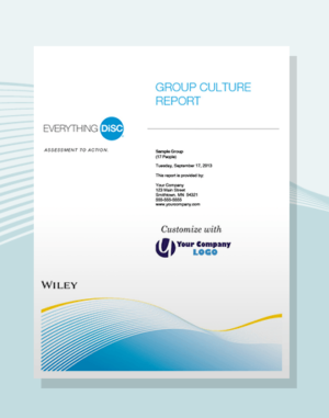 produit culture de groupe Everything DiSC