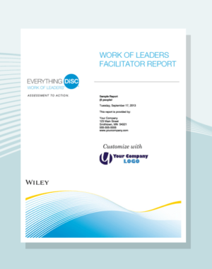 acheter-rapport-du-facilitateur-everything-disc-work-of-leaders