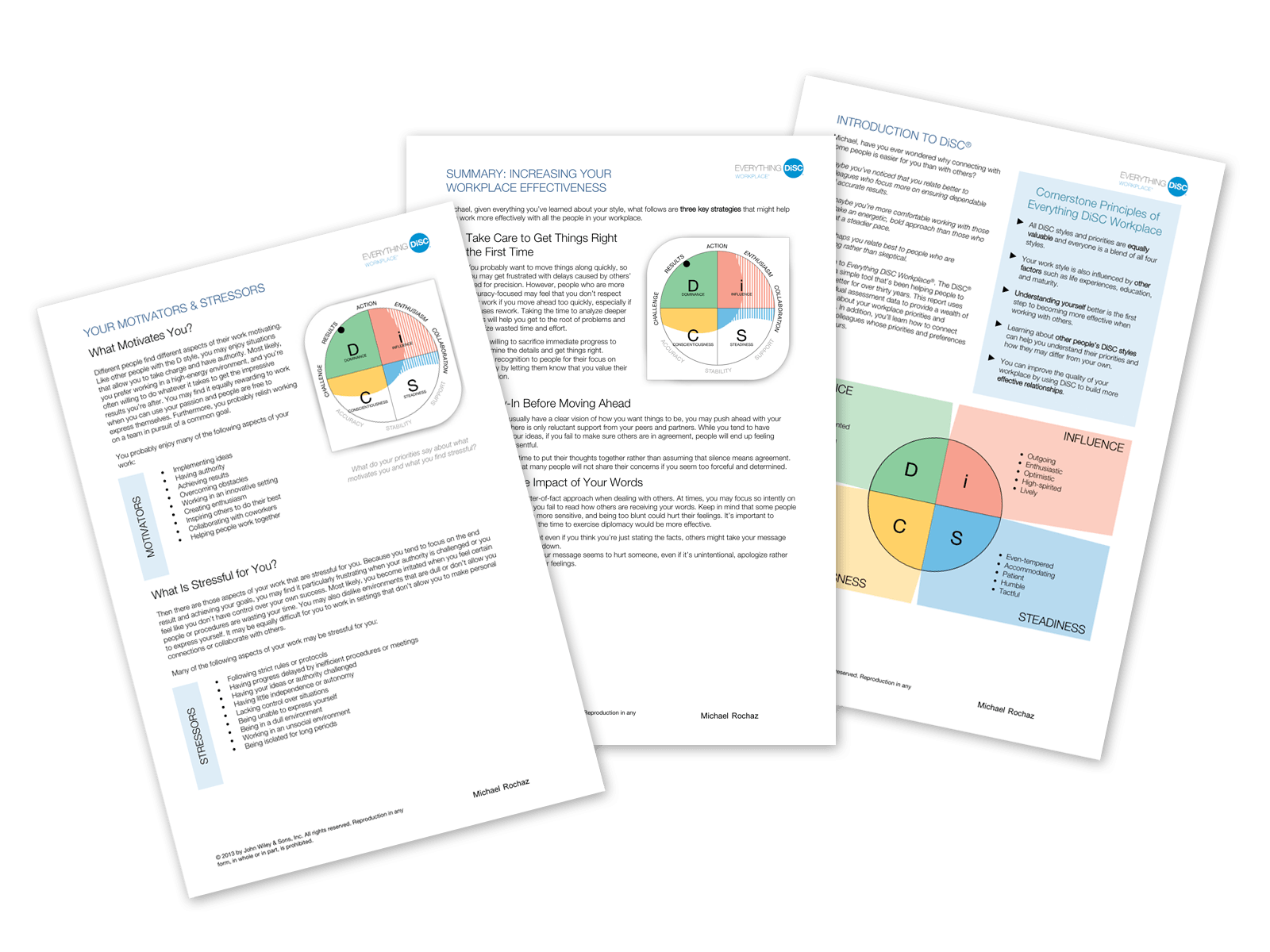 everything-disc-workplace-profile-report-sample everything-disc-workplace-profile-report-sample